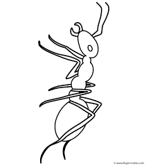 Ants are part of the scientific phylum known as arthropods. Ant Coloring Page Insects