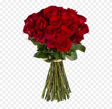33 red roses bouquet hd photo