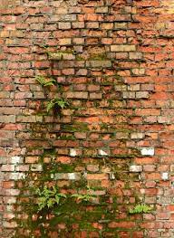 Ancient Brick Wall Background Texture