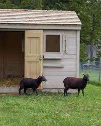 awesome goat house and playground