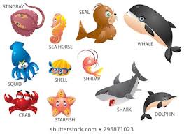 Aquatic Animal Images Stock Photos Vectors Shutterstock