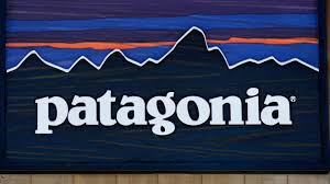 Patagonia's 5-Word Explanation of Why It's Closing Its Stores and Giving  Employees a Week Off Is the Best I've Seen Yet | Inc.com