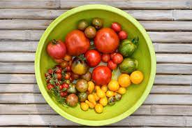 plant your best tomato garden get