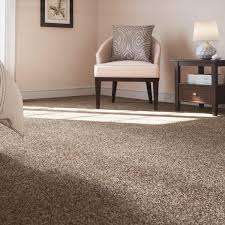 home decorators collection 8 in x 8 in texture carpet sle gemini i color color tudor brown