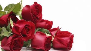Setiap warna bunga mawar mewakili ekspresi dan perasaan yang berbeda. Intip Makna Di Balik Warna Warni Buket Mawar Valentine Health Liputan6 Com
