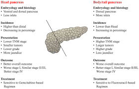 prognosis of distal pancreatic cancers