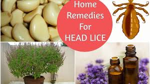 home remes for lice effectiveness