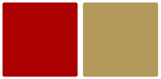 San Francisco 49ers Color Codes Hex