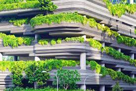 Rooftop Gardens Amazing Benefits And