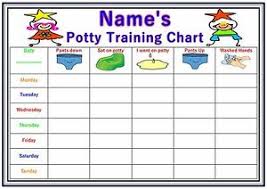 Details About Personalised Childrens A4 Potty Toilet Reward Chart And Stickers Boy Girl