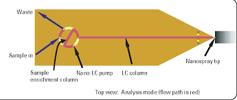 Figure 2 From Comparison Of Hplc Chip Ms With Conventional