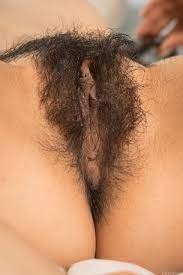 Hairy Pussy Porn Pic - EPORNER