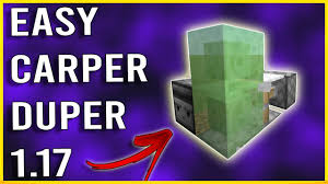 easy carpet duper minecraft 1 17