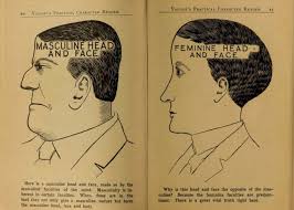 33 Absurd Phrenology Charts From A Century Ago