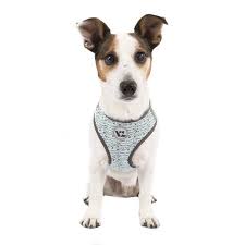 Vibrant Life Flex Knit Body Dog Harness Medium Assorted