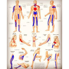 Printable Taping Instructions Kinesiology Taping Muscles