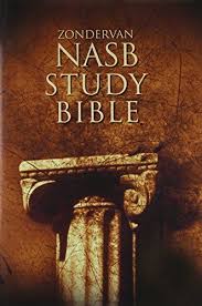 Download english standard bible free download. Download Pdf Nasb Zondervan Study Bible Free Epub Mobi Ebooks Bible Study Large Print Bible Bible Pdf