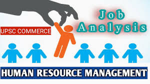 Job Analysis And Job Design Ll Hrm Ll Upsc Commerce Ll Paper 2