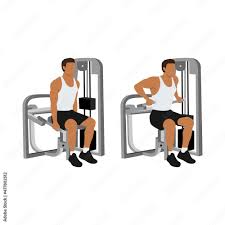 seated tricep dips exercise