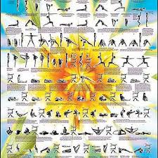Master Yoga Chart Of 908 Postures By Dharma Mittra Mahashop