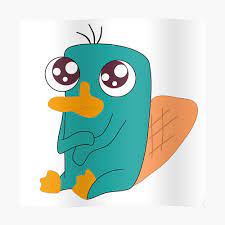 Baby Perry The Platypus 