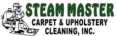 carpet cleaning asheville upholstery