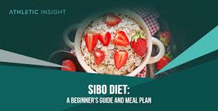 sibo t a beginner s guide and meal