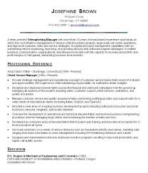 Best     Resume services ideas on Pinterest   Resume styles     Try These Powerful Customer Service Resume Samples         The Best Security  Guard Resume Sample      That Can Help You