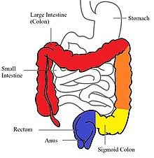 Another study published in the journal of gastroenterology found that capsaicin treatment resulted in gastric mucosal protection against. Ulcerative Colitis Wikipedia