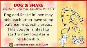 dog and snake compatibility zodiac