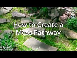 How To Create A Moss Pathway
