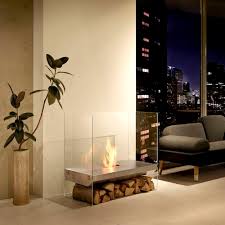 Bioethanol Fireplace Ecosmart Fire