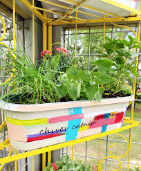 Vertical Patio Herb Garden