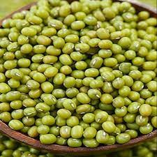 Kebutuhan benih dalam budidaya kacang hijau lebih kurang 20 kg untuk luasan lahan satu hektar. Biji Kacang Hijau 500gm New Pgmall