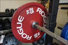 Rogue Ipf Calibrated Steel Powerlifting Plates Review