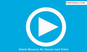 Video bokeh mantap terbaru no sensor full hd. Bokeh Museum No Sensor Mp4 Video Bakrabata Com