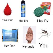 Image result for mosquito memes