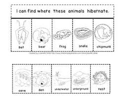 More animals for the little ones coloring pages. Hibernation Animals In Winter Super Pack Poems Books Math Writing Crafts Hibernation Preschool Crafts Winter Animals Animals That Hibernate