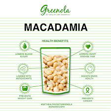 greenola macadamia nuts 100g set of 4