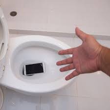 phone that fell into the toilet
