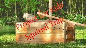 how to make a live squirrel trap