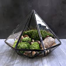 Geometric Glass Diamond Terrarium With