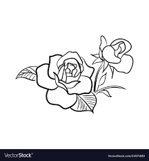 hand drawn line art rose flower royalty