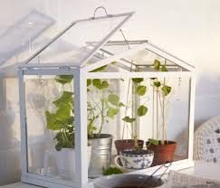 Indoor Greenhouse For Your Apartment