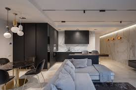 shine luxury apartment interior design