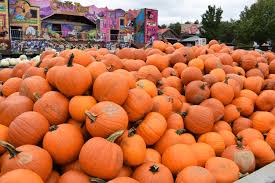 the great pocono pumpkin festival