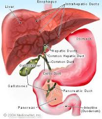 gallbladder pain symptoms causes