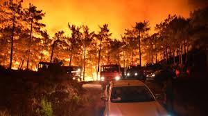 Jul 27, 2021 · muğla'da çıkan orman yangını söndürüldü. Mersin Ve Hatay Daki Orman Yanginlari Kontrol Altinda Haberi Son Dakika Turkiye Haber Basliklari Ve Gelismeler Haberler