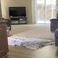 guzz carpet upholstery clean palmdale