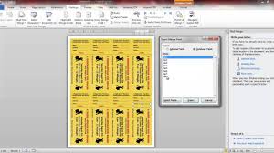 Raffle Ticket Numbering With Word And Number Pro